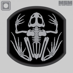Frog Skeleton